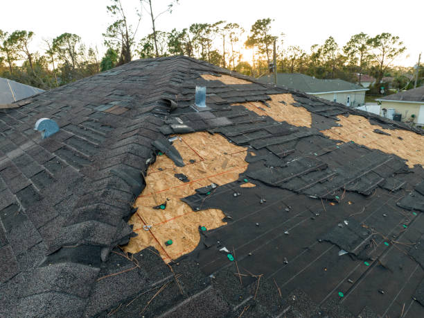 Best Roof Insulation Installation  in Grizzly Flats, CA